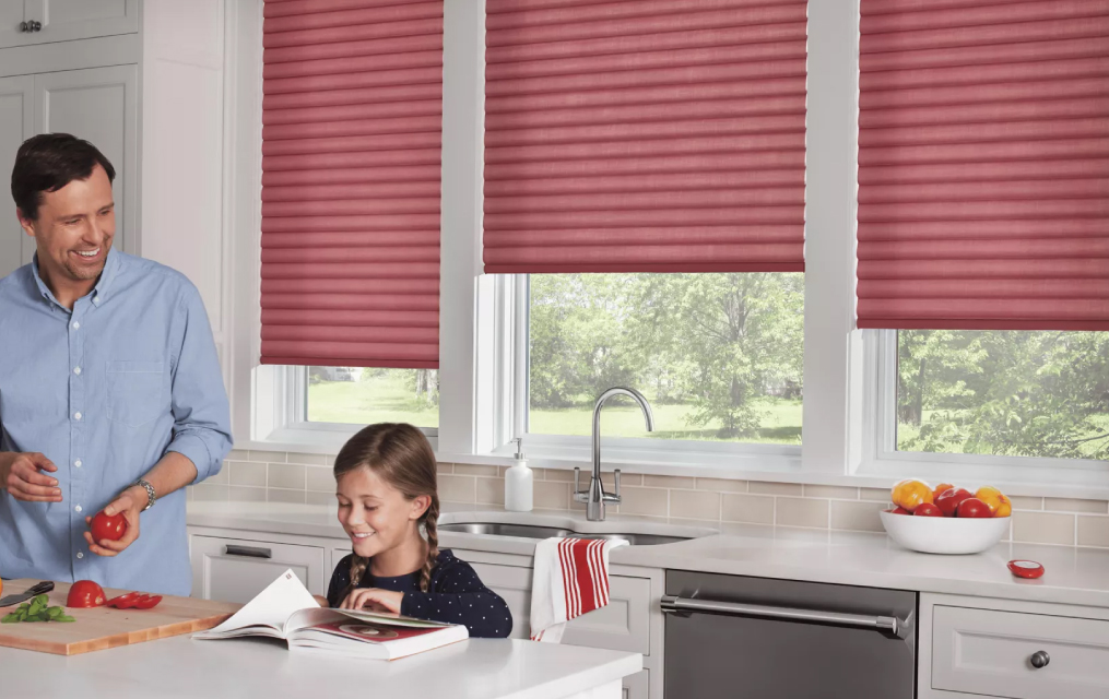 vertical window blinds