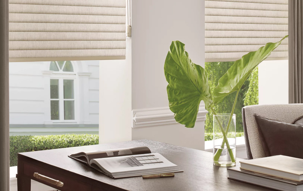 vertical window blinds