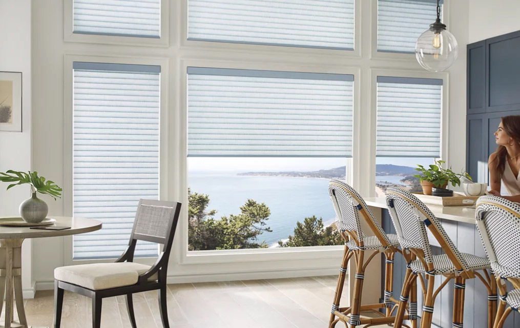 cellular window shades